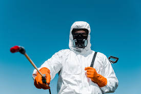 Best Termite Inspection and Treatment  in Emigsville, PA